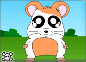 dress a hamster game